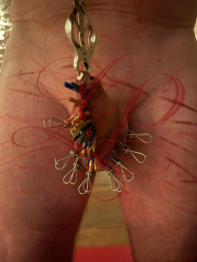 CBT - Tortures avec pinces métalliques sur le sexe de Mon soumis